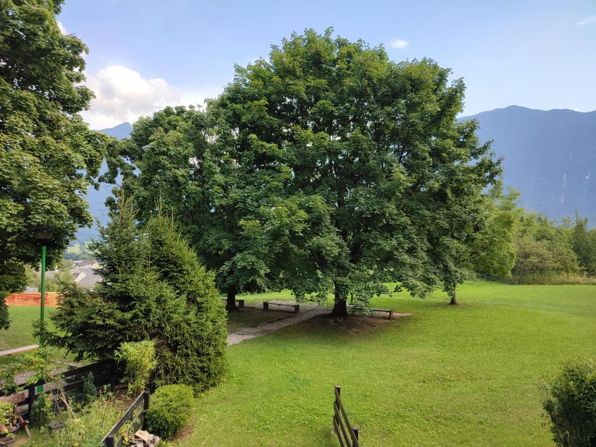 Studio Kaninska Vas Bovec Kültér fotó